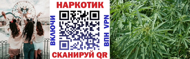 Где продают наркотики Черемхово Конопля  kraken   Меф  Cocaine 