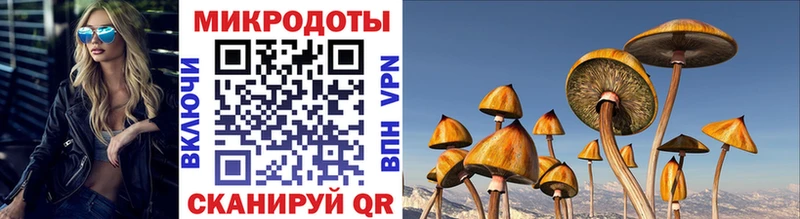 мега рабочий сайт  Черемхово  площадка формула  Псилоцибиновые грибы Psilocybe 